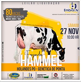 Leilão liquidação - Fazenda Hammel-27/11 (sábado) - 10h00